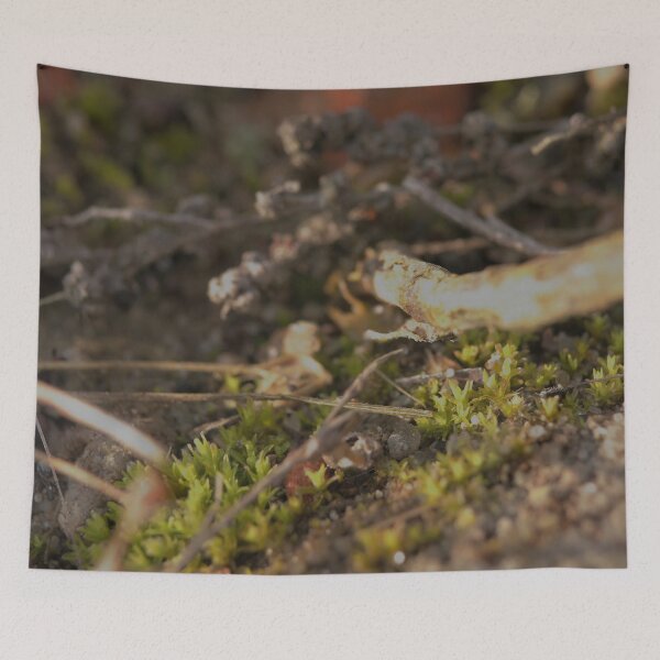 Item preview, Forest Floor Macro – Tiny Moss and Twig designed and sold by vikko-art.