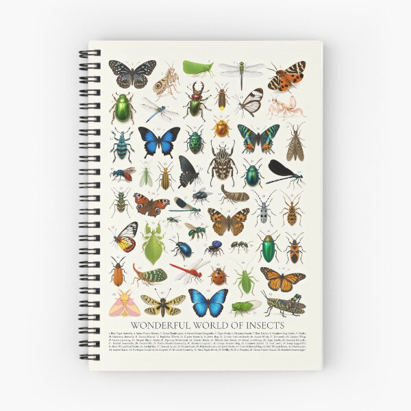 Item preview, Wonderful World of Insects Retro Style Identification Chart designed and sold by kakarikihill.