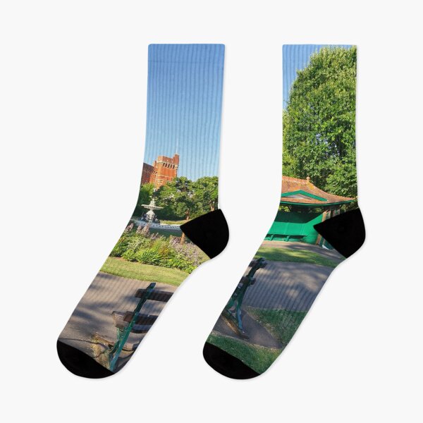 Item preview, Vivary Park Taunton designed and sold by Alisonchambers2.