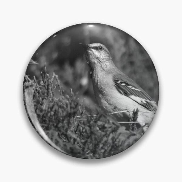 Item preview, Mockingbird Resting Among Shrubs designed and sold by MercerImages.
