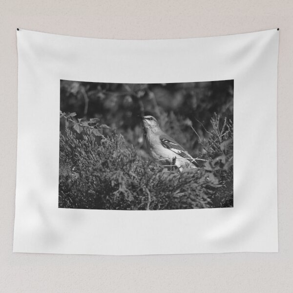 Item preview, Mockingbird Resting Among Shrubs designed and sold by MercerImages.