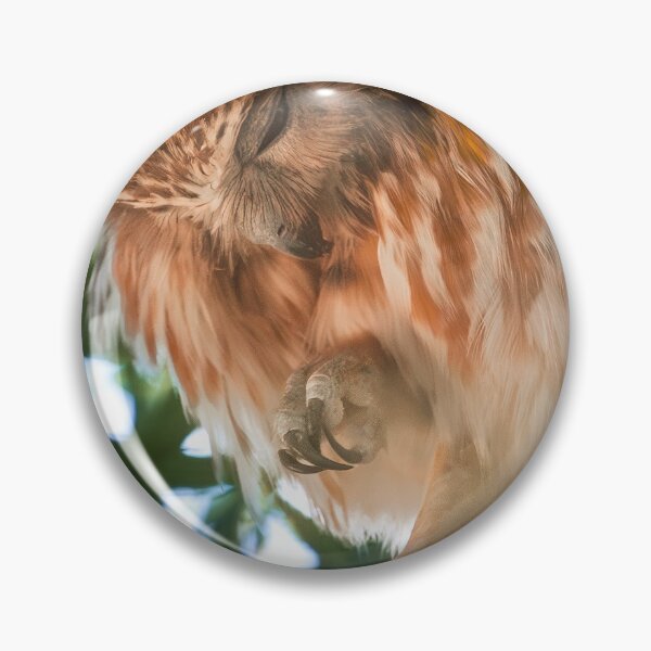 Item preview, Boobook Owl designed and sold by MadeByAlice1.