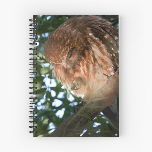 Item preview, Boobook Owl designed and sold by MadeByAlice1.