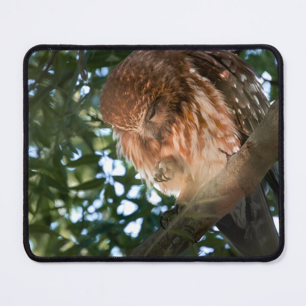Item preview, Boobook Owl designed and sold by MadeByAlice1.