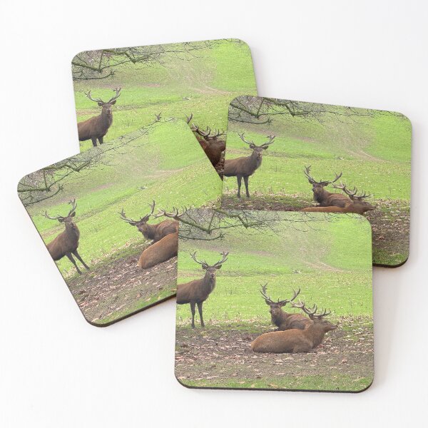 Item preview, Red Deer Stags designed and sold by Graz-Photos.