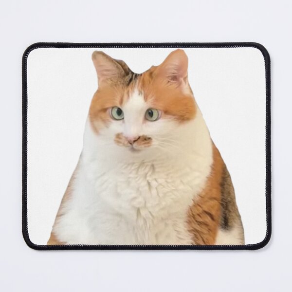 Item preview, Cute Chubby Calico Cat designed and sold by barkandmeow.