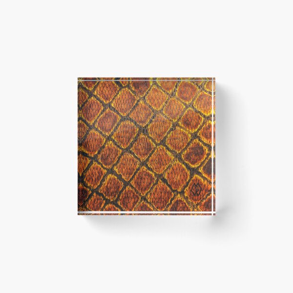 Item preview, Rattlesnake skin  designed and sold by Matt Starr Fine Art .