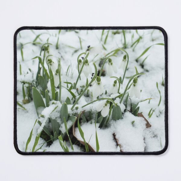 Item preview, Dainty Snowdrops in Fresh Snow designed and sold by Georgia Mizuleva.