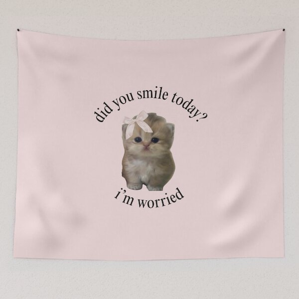Item preview, Did you smile today? I'm worried - bubucat designed and sold by Bubucat.