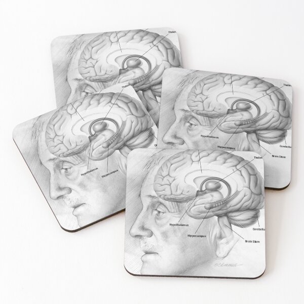 Item preview, Human brain Anatomy National Institute on Aging designed and sold by LuluLeb.