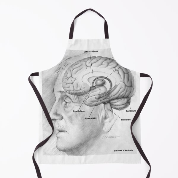 Item preview, Human brain Anatomy National Institute on Aging designed and sold by LuluLeb.