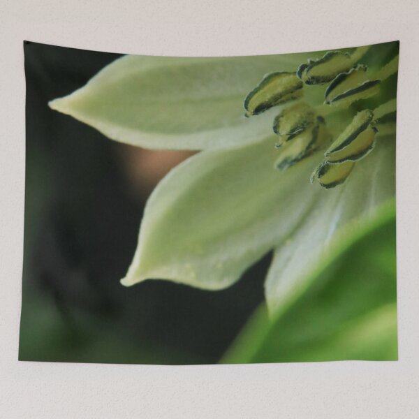 Item preview, White Flower Macro – Botanical Close Up designed and sold by vikko-art.