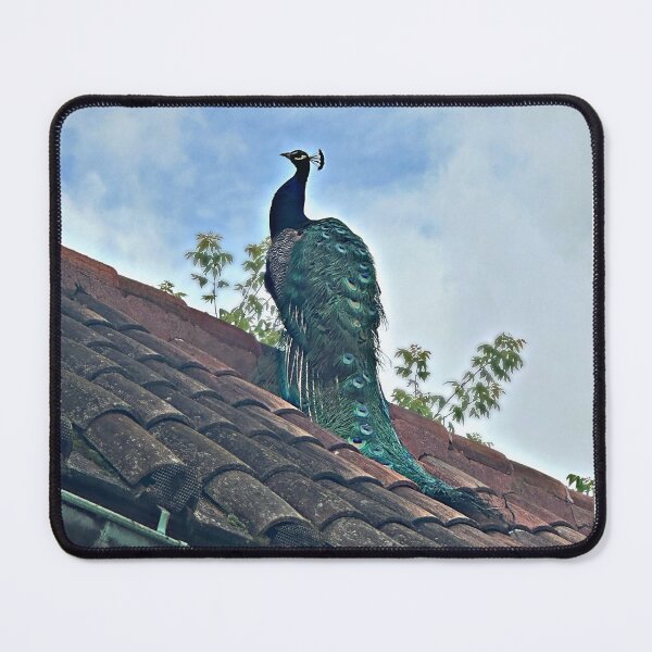 Item preview, Manchego On A Roof designed and sold by jeansy.