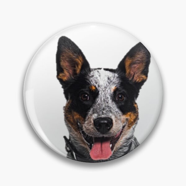 Item preview, Australian Cattle Dog Illustration designed and sold by NoxLand.