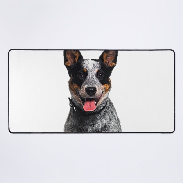 Item preview, Australian Cattle Dog Illustration designed and sold by NoxLand.