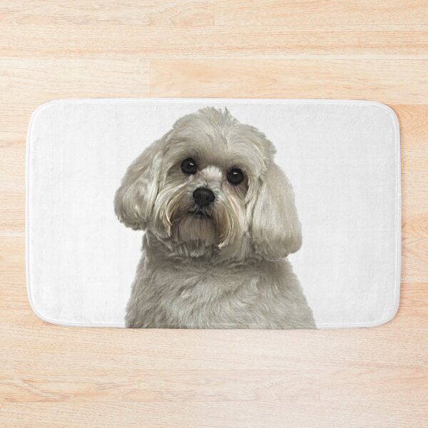 Item preview, The Adorable Maltese designed and sold by NoxLand.