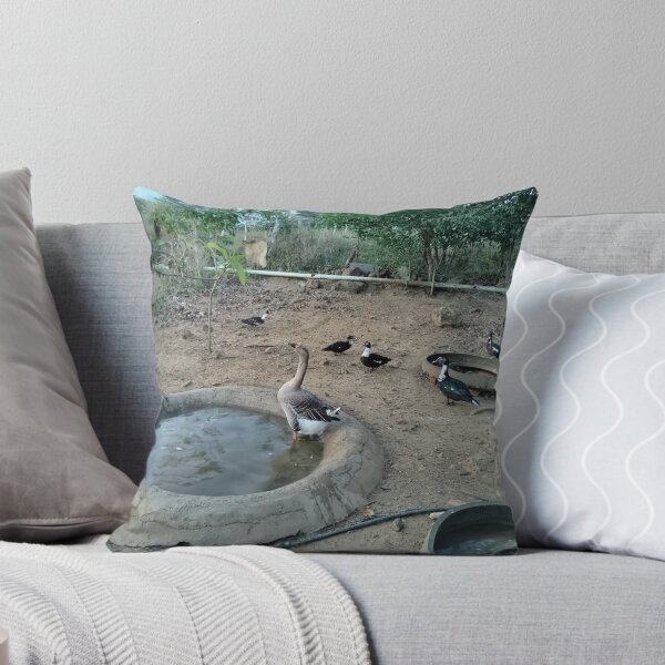 Item preview, Pacho the goose's coop and his duck friends designed and sold by Yesskathe.