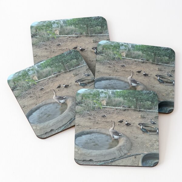 Item preview, Pacho the goose's coop and his duck friends designed and sold by Yesskathe.