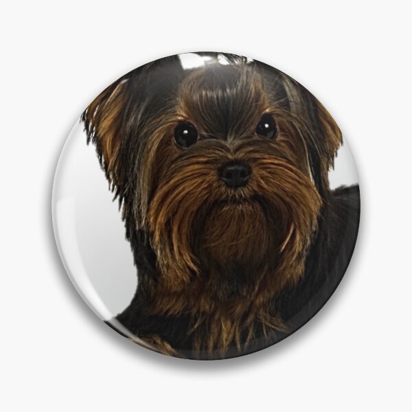 Item preview, A beautiful Yorkshire terrier  designed and sold by NoxLand.