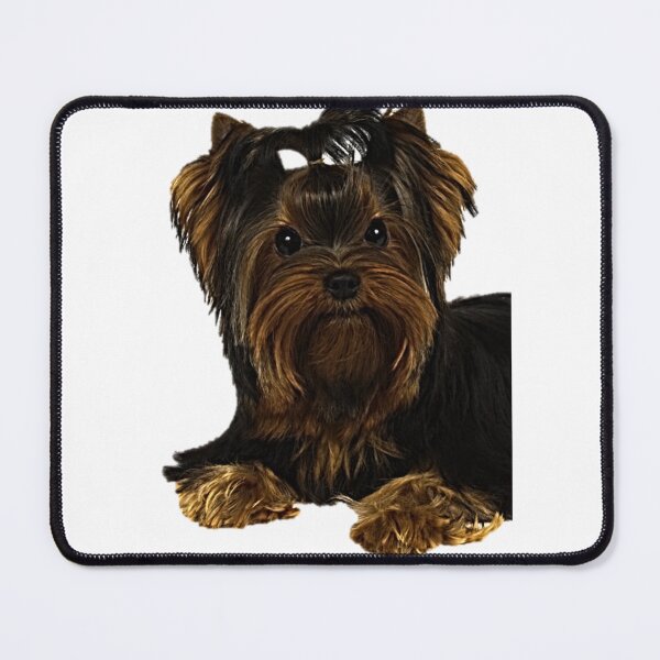 Item preview, A beautiful Yorkshire terrier  designed and sold by NoxLand.