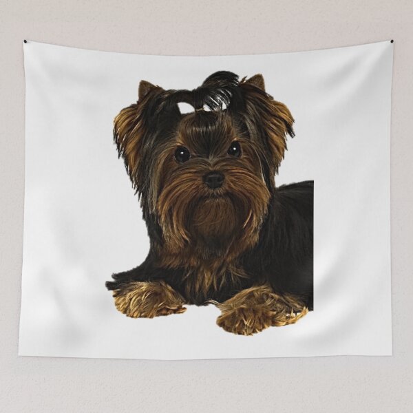 Item preview, A beautiful Yorkshire terrier  designed and sold by NoxLand.