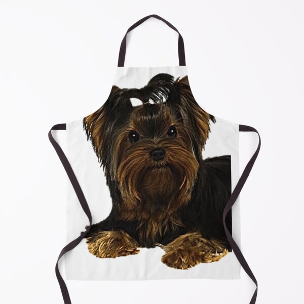Item preview, A beautiful Yorkshire terrier designed and sold by NoxLand.