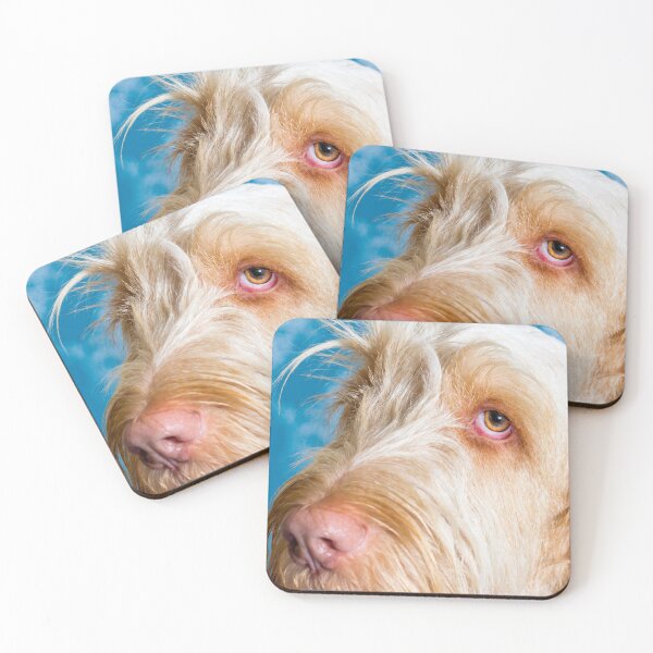 Item preview, Delicate thoughts Spinone by heidiannemorris designed and sold by FOLK ART FUSION by heidiannemorris.