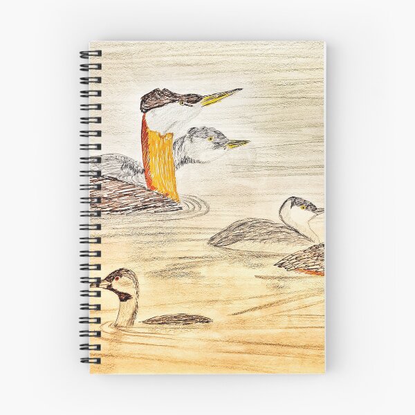 Item preview, Grebes study  designed and sold by Matt Starr Fine Art .