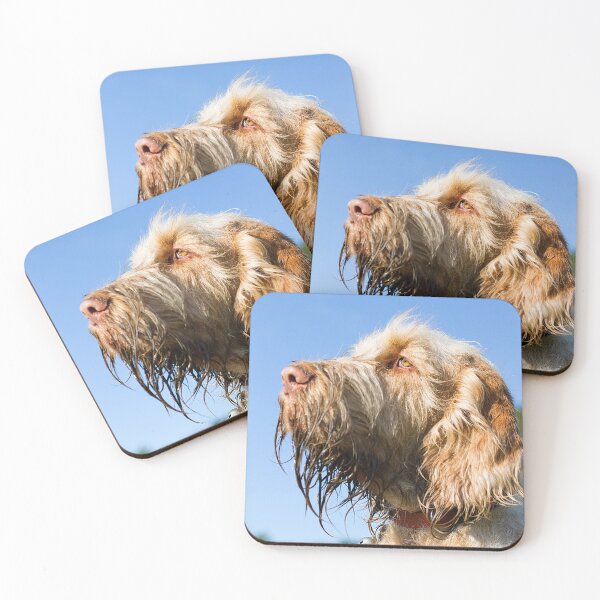Item preview, Super hero Spinone by heidiannemorris designed and sold by FOLK ART FUSION by heidiannemorris.