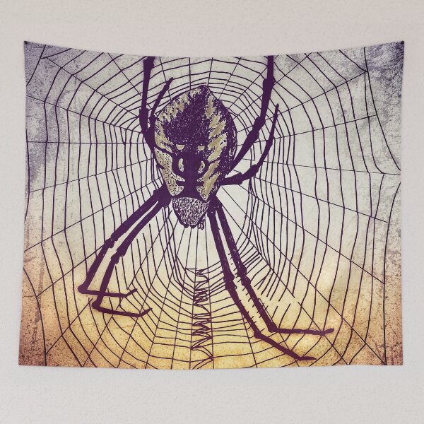 Item preview, Spider Web in grunge  designed and sold by Matt Starr Fine Art .