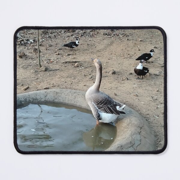 Item preview, Pancho the goose designed and sold by Yesskathe.