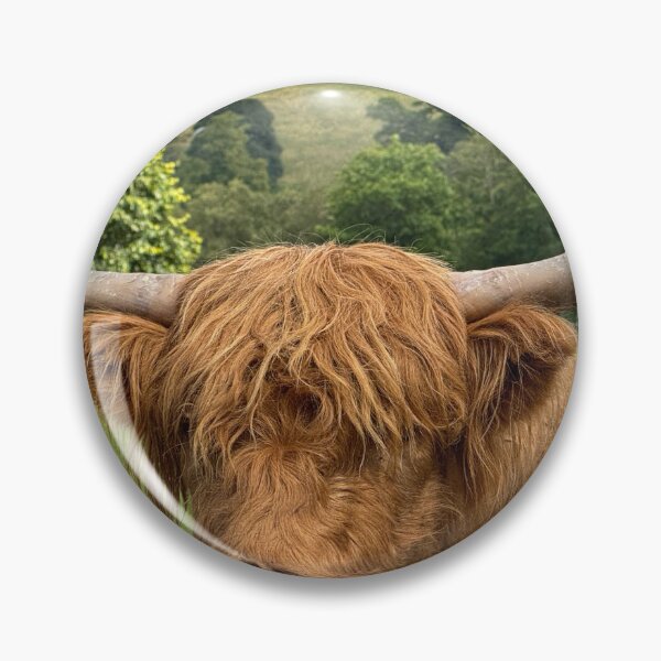 Item preview, Highland cow in  the Highlands , Scotland designed and sold by Photogold Photo Gifts.