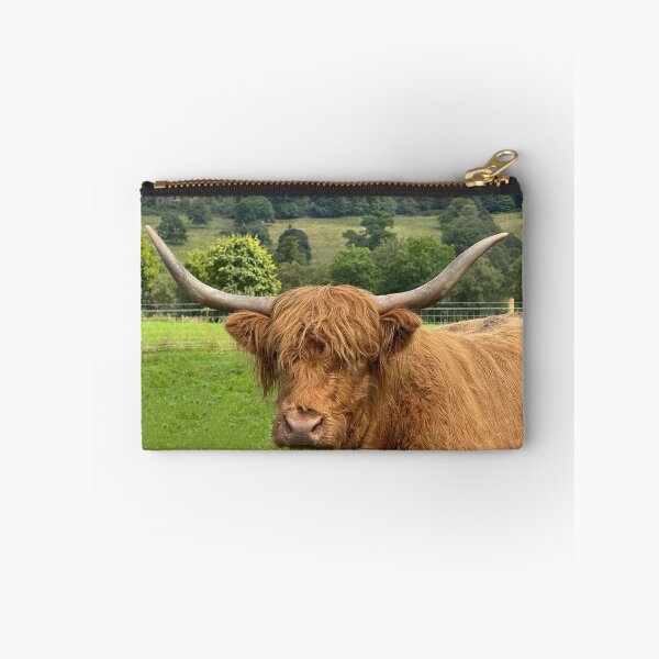 Item preview, Highland cow in  the Highlands , Scotland designed and sold by Photogold Photo Gifts.