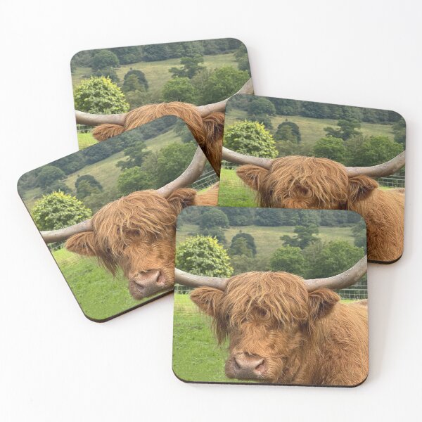 Item preview, Highland cow in  the Highlands , Scotland designed and sold by Photogold Photo Gifts.