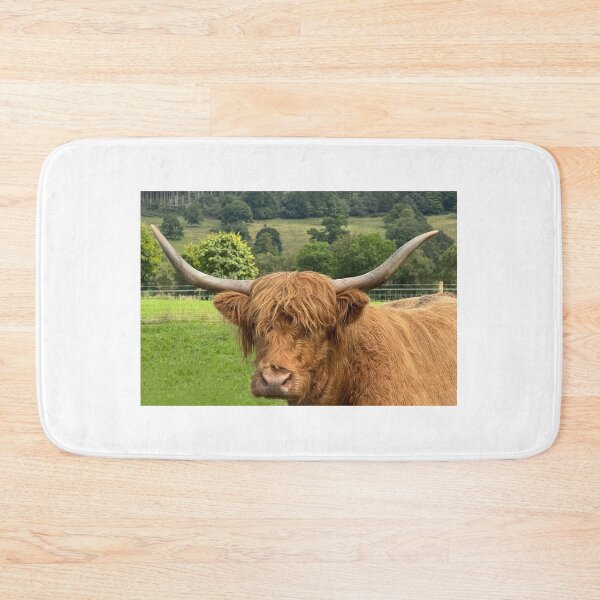 Item preview, Highland cow in  the Highlands , Scotland designed and sold by Photogold Photo Gifts.