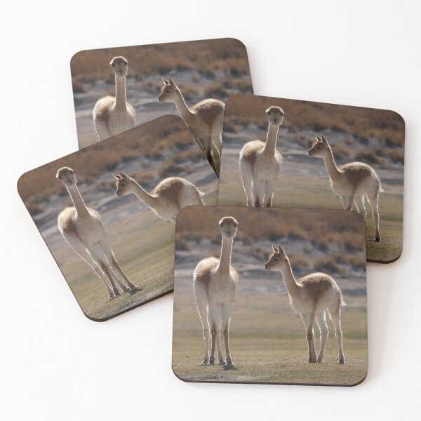 Item preview, Wild Vicuñas of the Andean Highlands Argentina designed and sold by Keltoi-art.