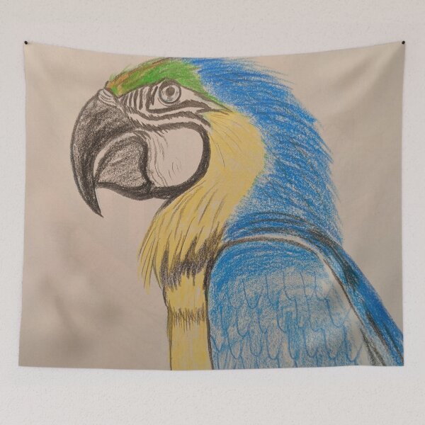 Item preview, Macaw parrot study designed and sold by Matt Starr Fine Art .