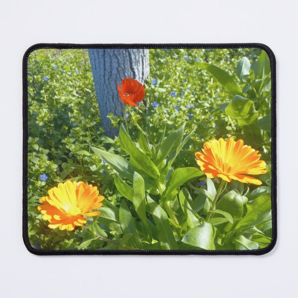 Item preview, Wildflowers La Palma designed and sold by birgitsfotoshop.