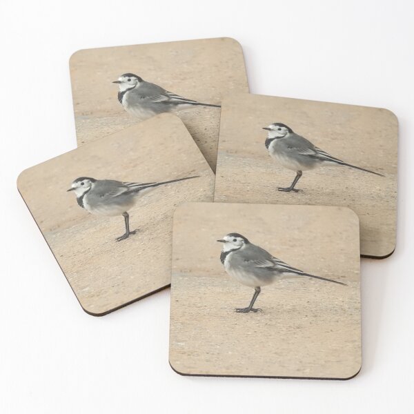 Item preview, Pied Wagtail on sandy path designed and sold by TwistedClassics.