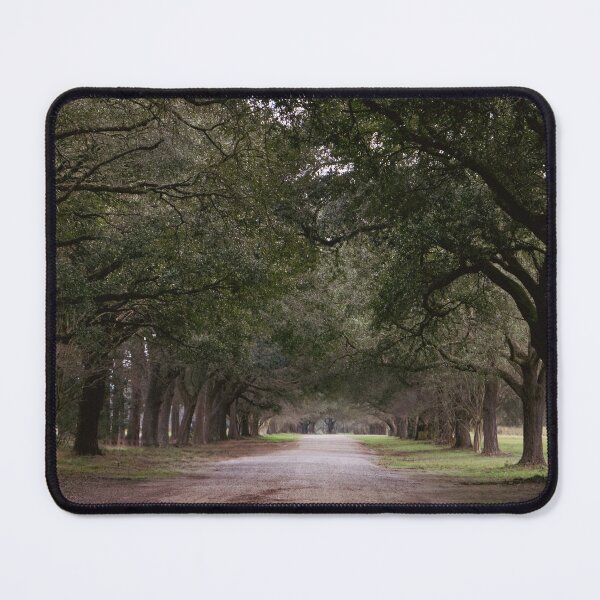Item preview, Tree Canopy Road – Serene Oak Tree Tunnel Photography designed and sold by ShaggyArtist.