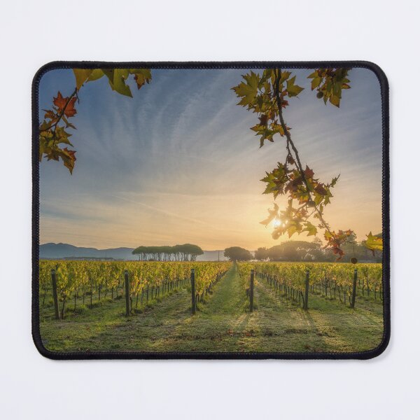 Item preview, Golden Autumn Sunrise over the Bolgheri Vineyards designed and sold by Stefano Orazzini.