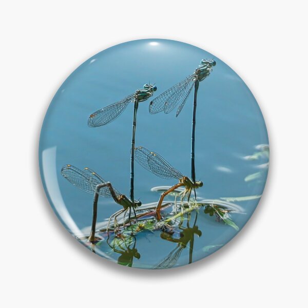 Item preview, Blue dragonflies dancing by the pond in summer. designed and sold by NaturePhotography.