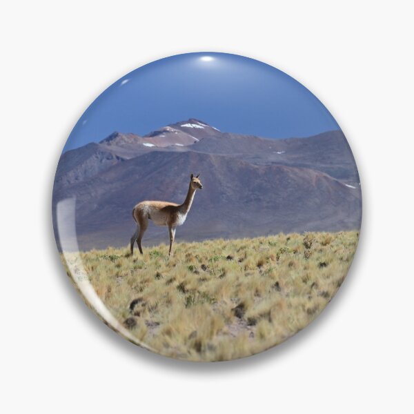 Item preview, Vicuña in Chile designed and sold by CadresSauvages.