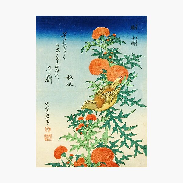 Item preview, HD. Crossbill and Thistle, by Katsushika Hokusai . HIGH DEFINITION designed and sold by MINDTHECHERRY.
