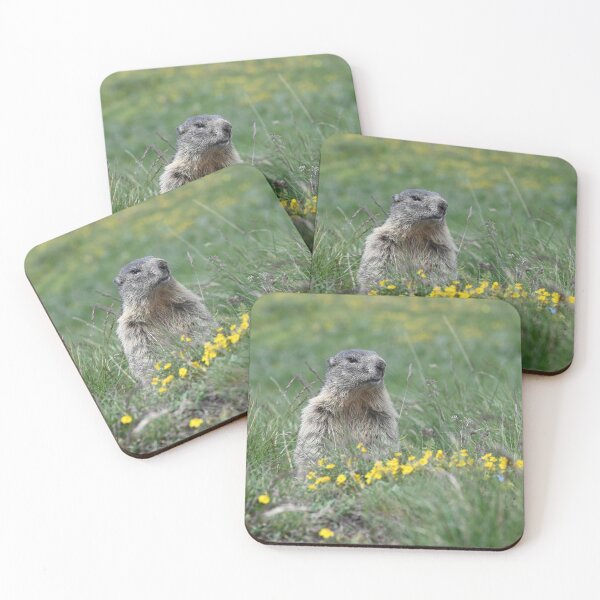 Item preview, Marmot in Saint-Véran designed and sold by CadresSauvages.