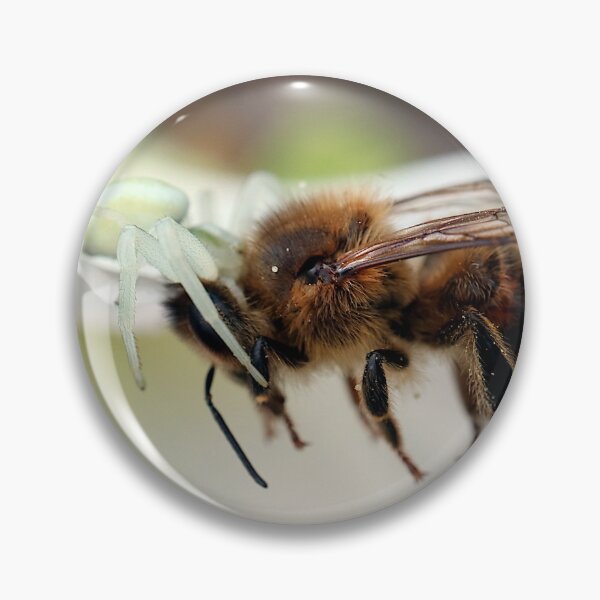 Item preview, Violent Nature - Crab spider hunts a honey bee designed and sold by HighEntorpyArt.