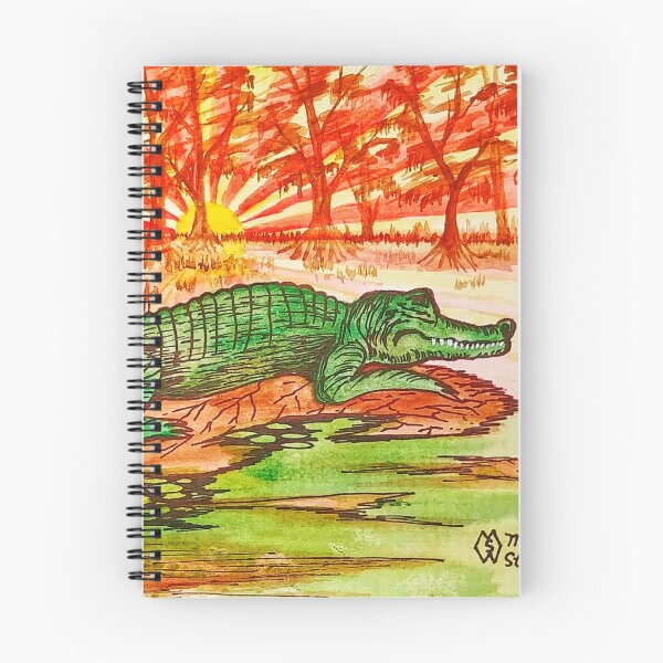 Artikelvorschau, Alligator Swamp bei Sonnenuntergang entworfen und verkauft von Matt Starr Fine Art .