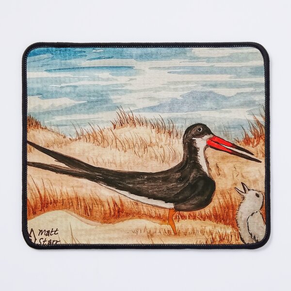 Item preview, Black Skimmer and Chick  designed and sold by Matt Starr Fine Art .