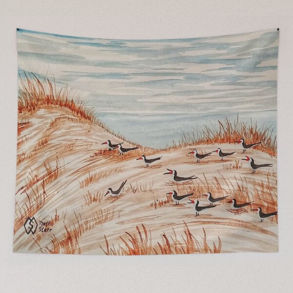 Item preview, Black Skimmers Nesting Colony  designed and sold by Matt Starr Fine Art .