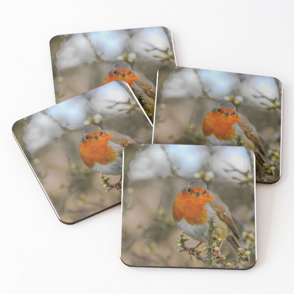 Item preview, Winter Robin designed and sold by Nature0wildlife.
